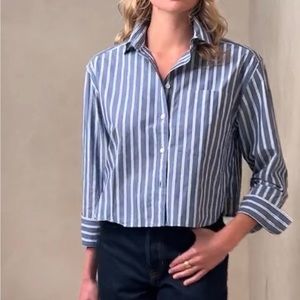 Banana Republic Boxy Cropped Shirt